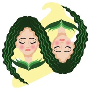 Gemini symbol