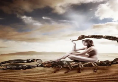 signs a scorpio woman likes you
