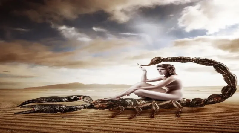 signs a scorpio woman likes you